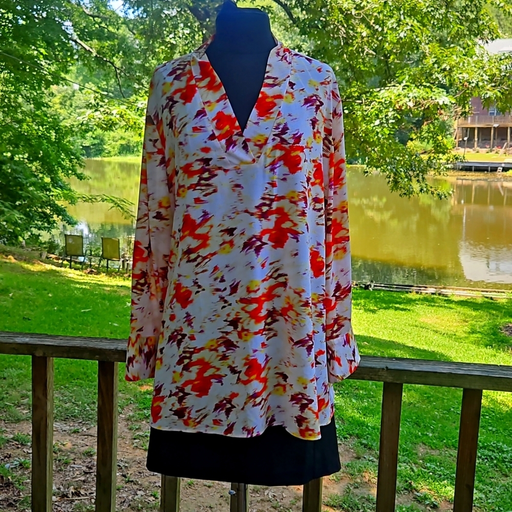 Terra & Sky Tunic Long Sleeve Blouse